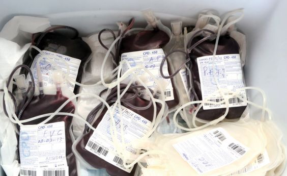 Escassez de sangue no serviço de Hemoterapia cria dificuldades aos médicos Fotografia- Paulo Mulaza |Edições Novembro